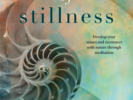 Dynamics Of Stillness Fashion