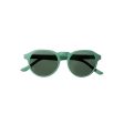 Occhiali Da Sole Adulto Modello Maracuya Verde Hot on Sale