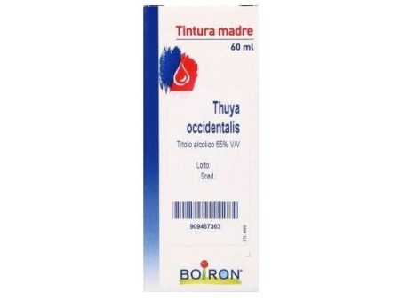 Thuya Occidentalis Tintura Madre 60 ml Discount